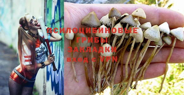 MESCALINE Бородино