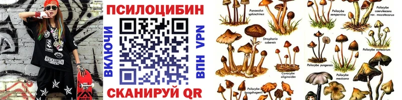 Купить закладки  Дубовка  Псилоцибиновые грибы GOLDEN TEACHER 